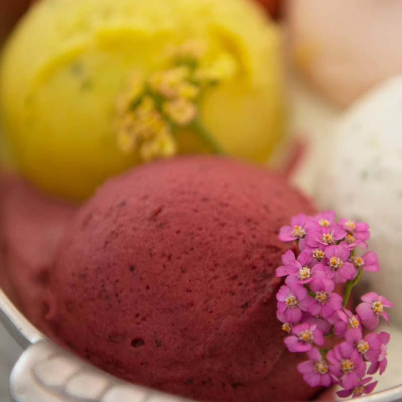 Hemeli Helados con Pasión