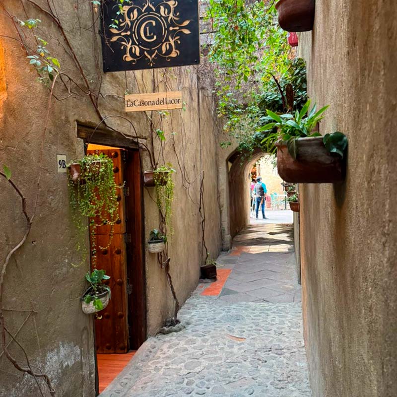 La Casona del Licor 1