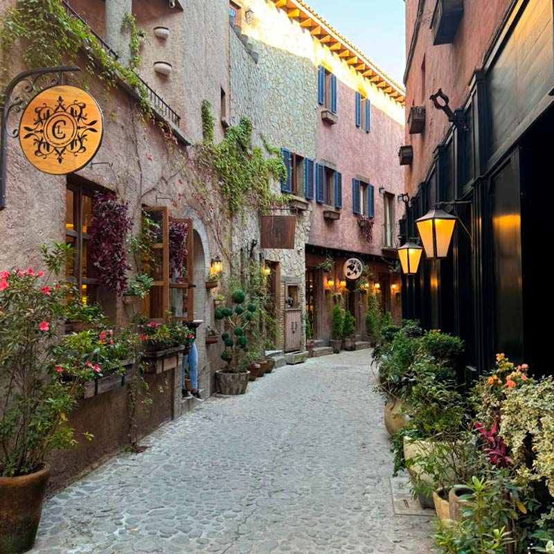La Casona del Licor 2