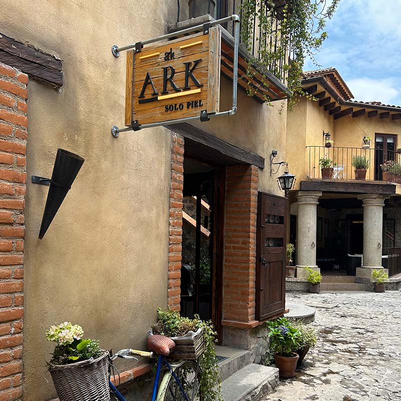 ARK Solo piel