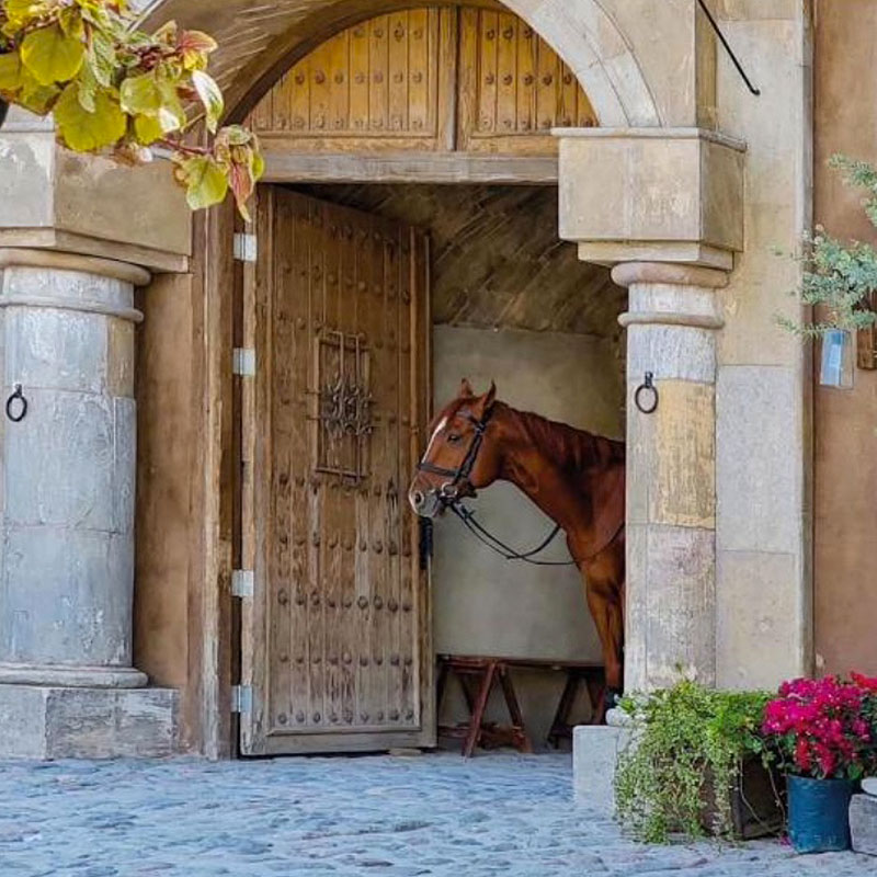 Centro Ecuestre ValQuirico