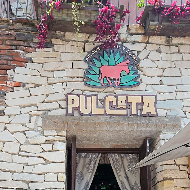 La Pulcata